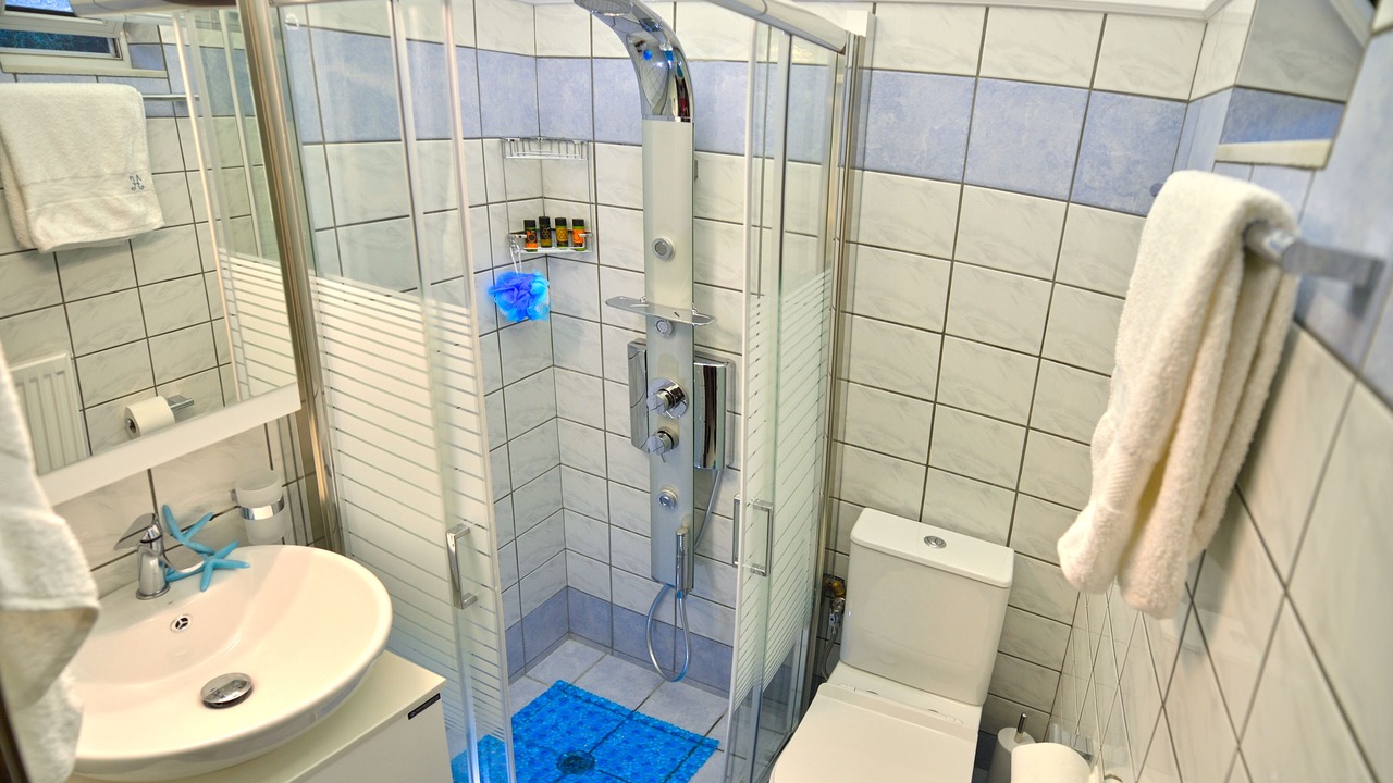 Photo of Bathroom in Platanos