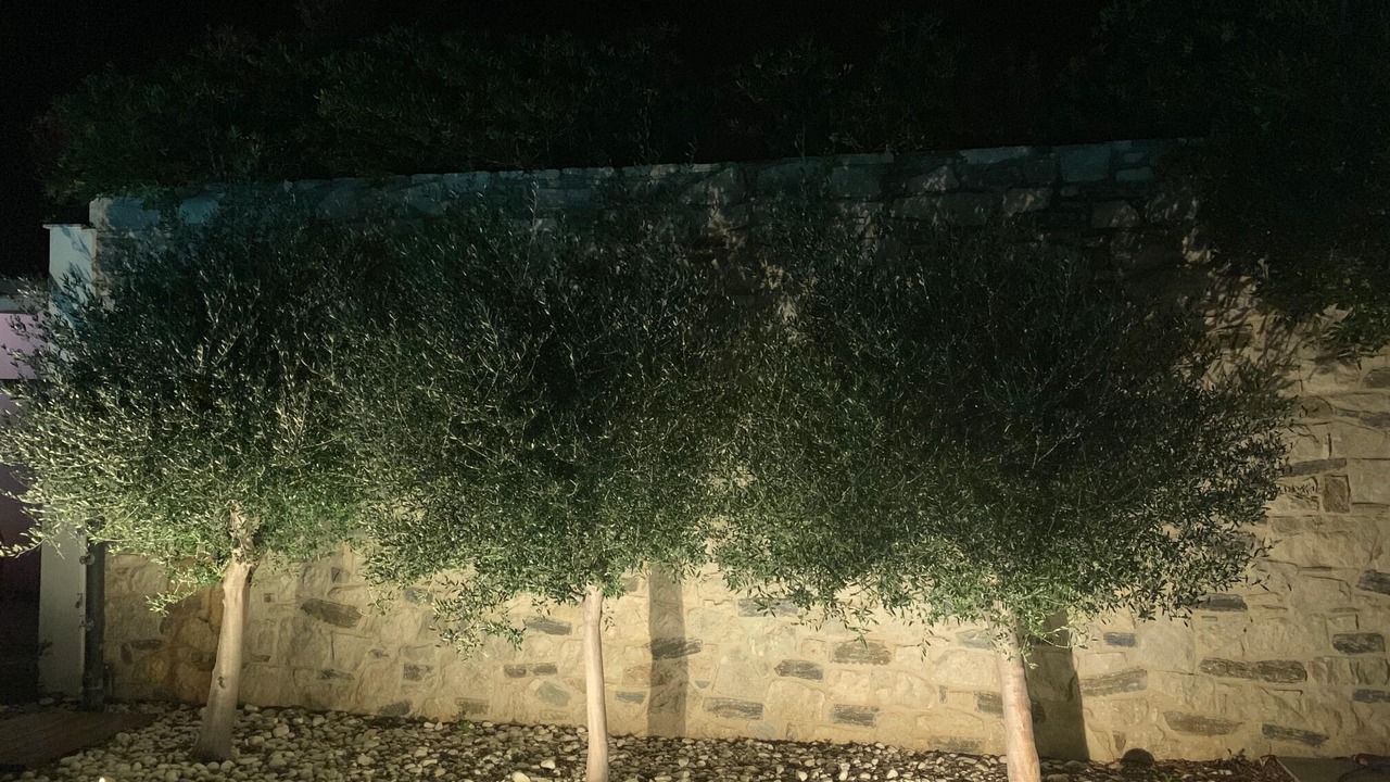 Photo of Outdoor in Agii Apostoli