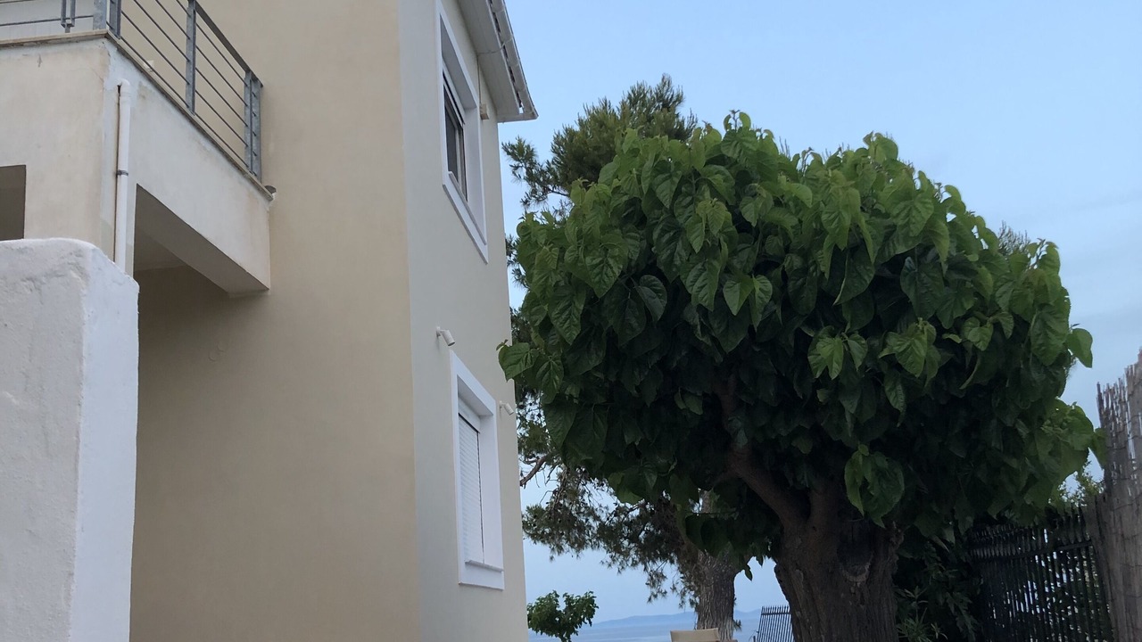 Photo of Outdoor in Platana