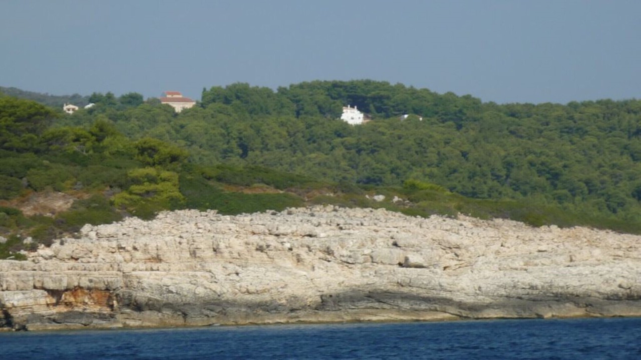 Photo of Others in Patitiri