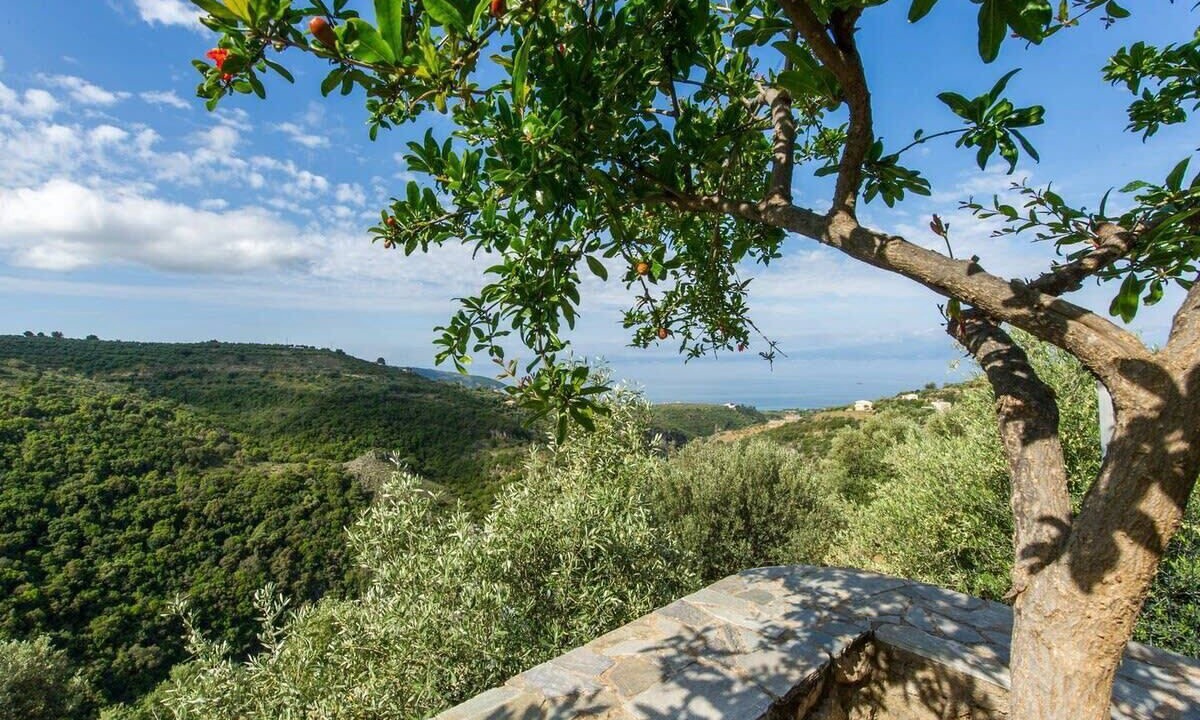 Photo of Outdoor in Megali Mantineia