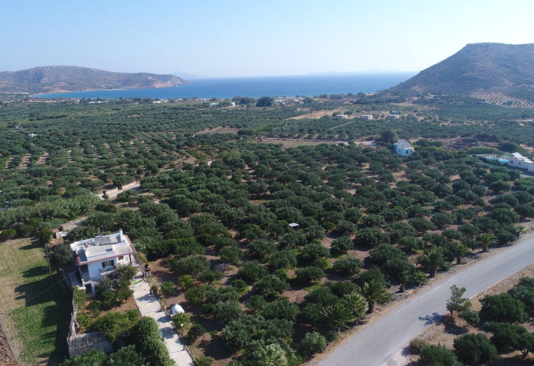 Photo of Outdoor in Vigla