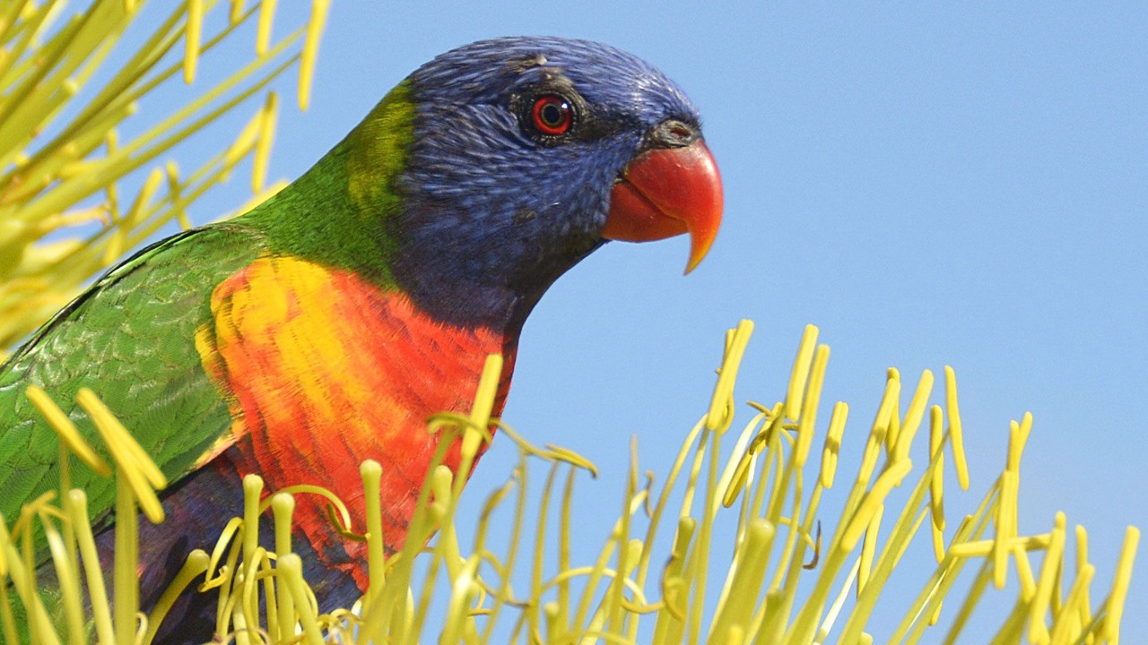 Photo of Others in Urangan