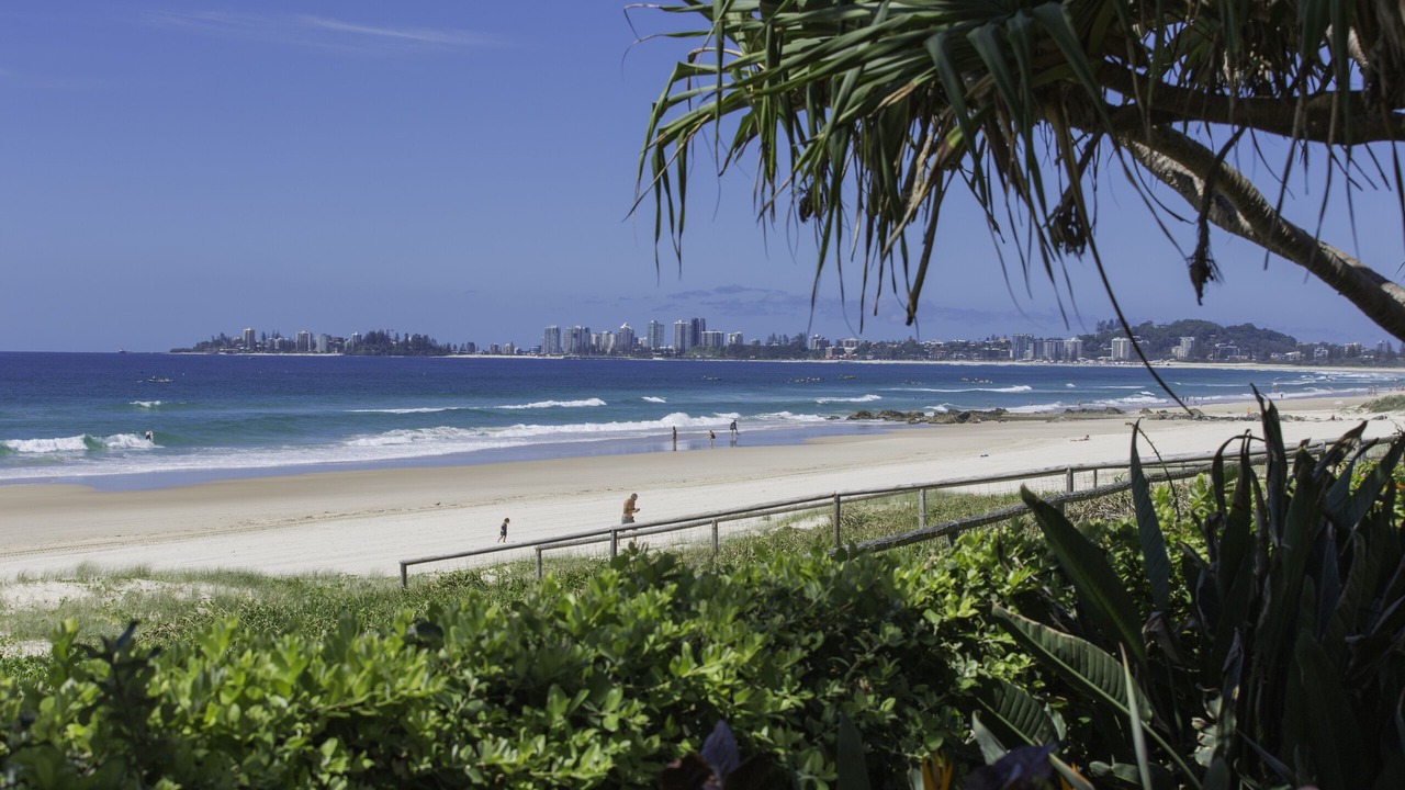 Photo of Others in Currumbin