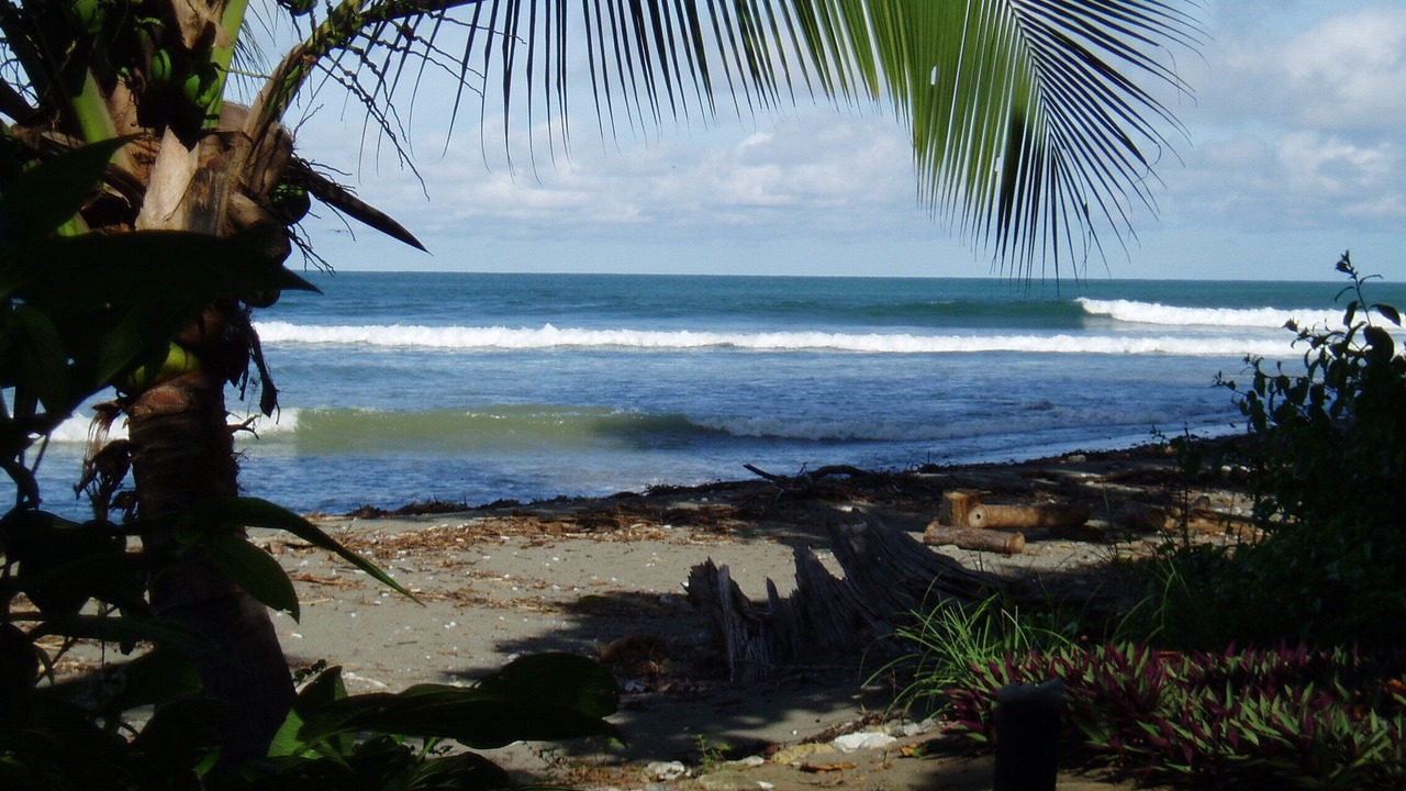 Photo of Others in Puerto Jimenez