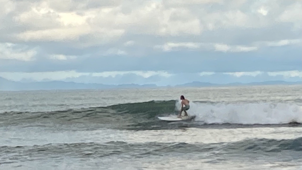 Photo of Others in Puerto Jimenez