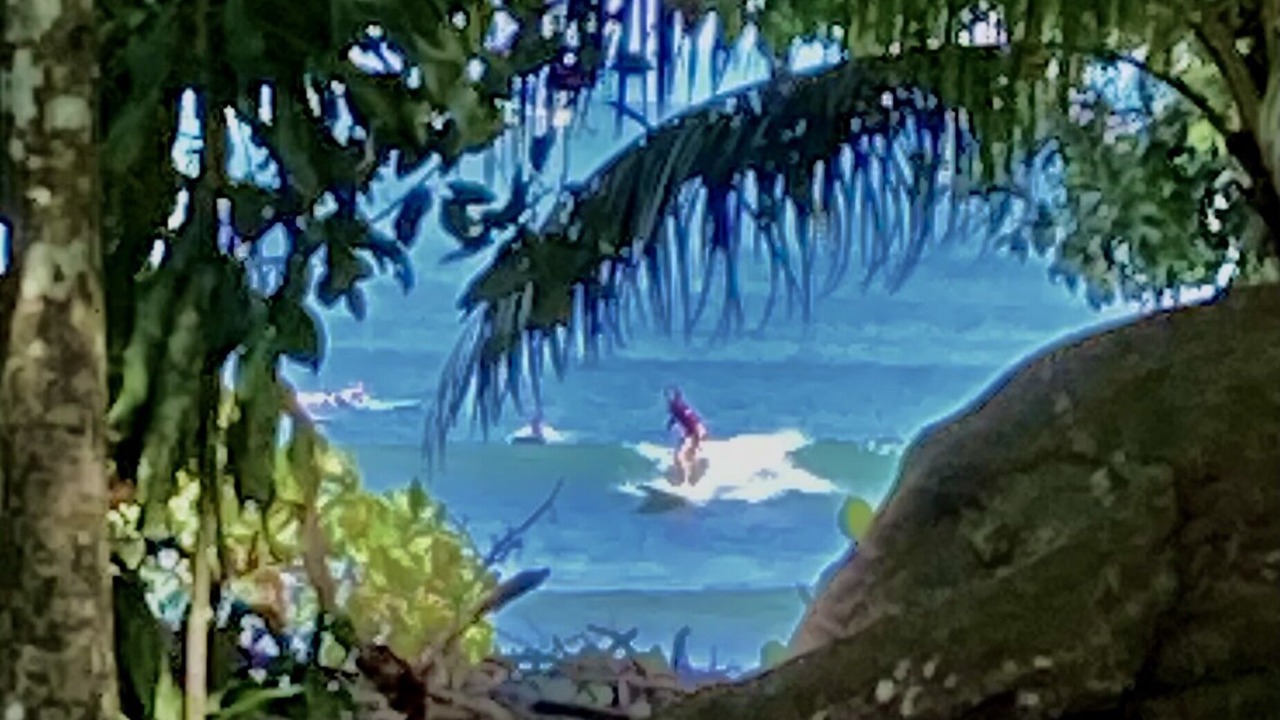 Photo of Others in Puerto Jimenez