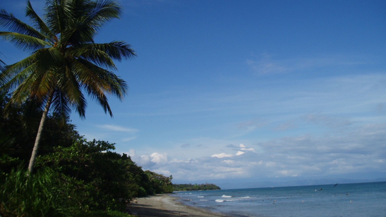 Photo of Others in Puerto Jimenez