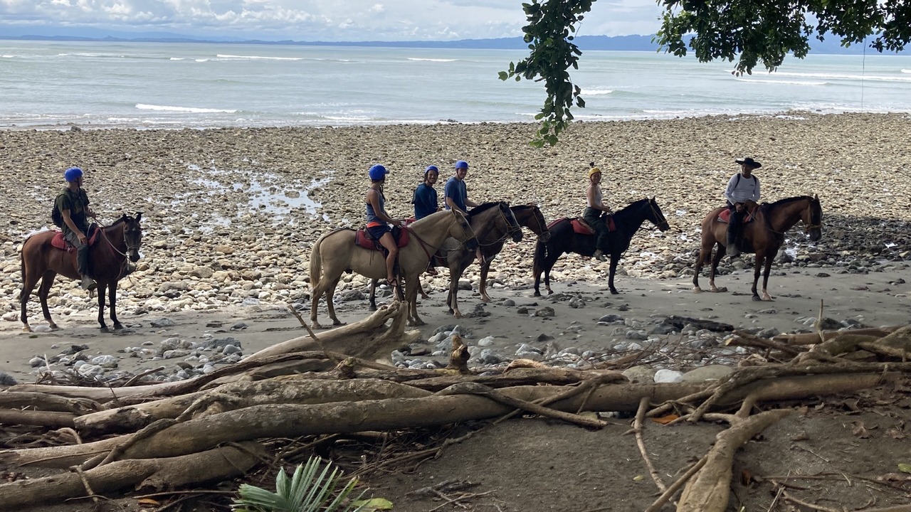 Photo of Others in Puerto Jimenez