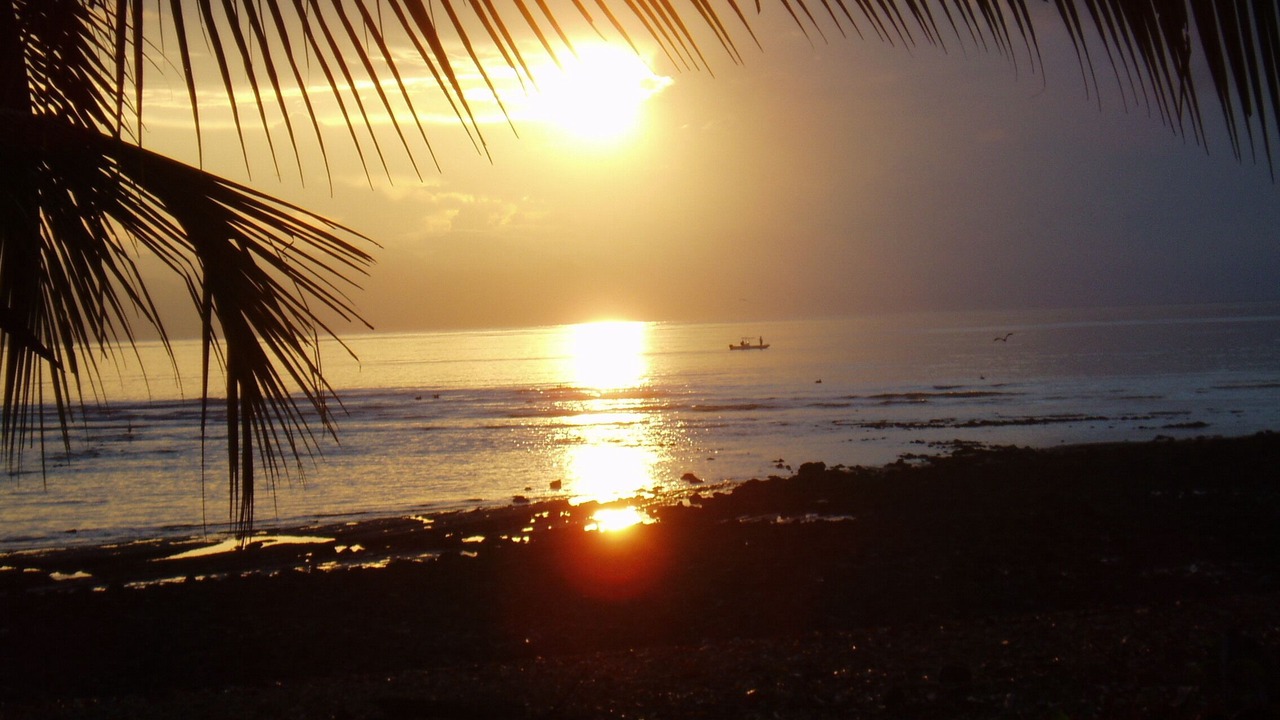 Photo of Others in Puerto Jimenez