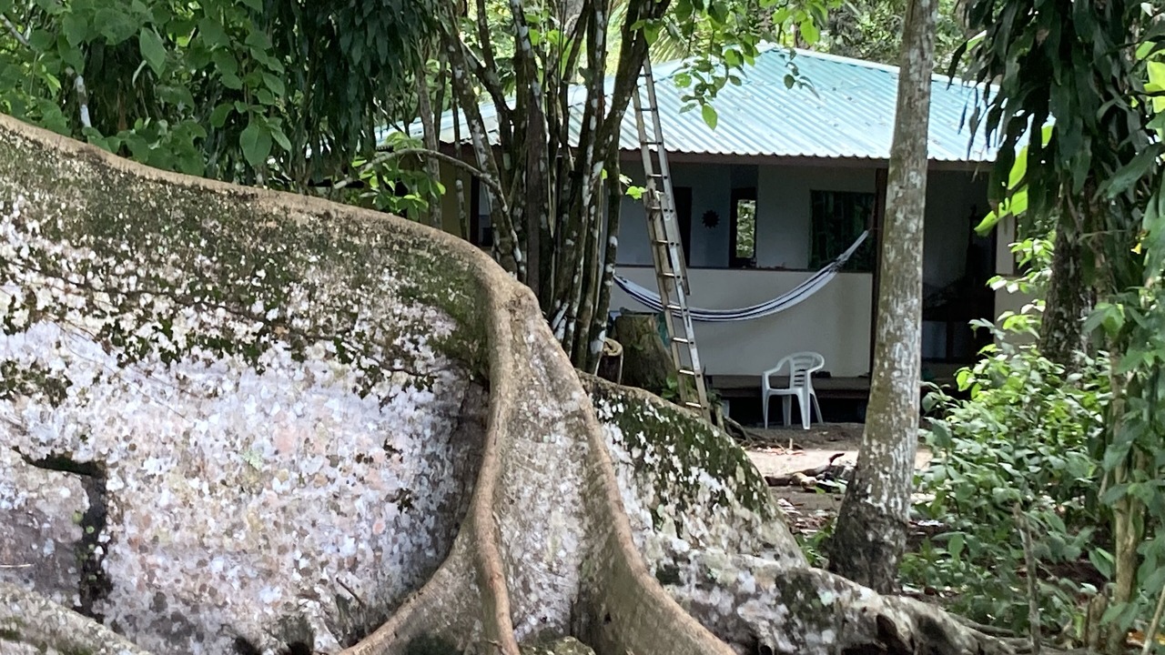 Photo of Others in Puerto Jimenez
