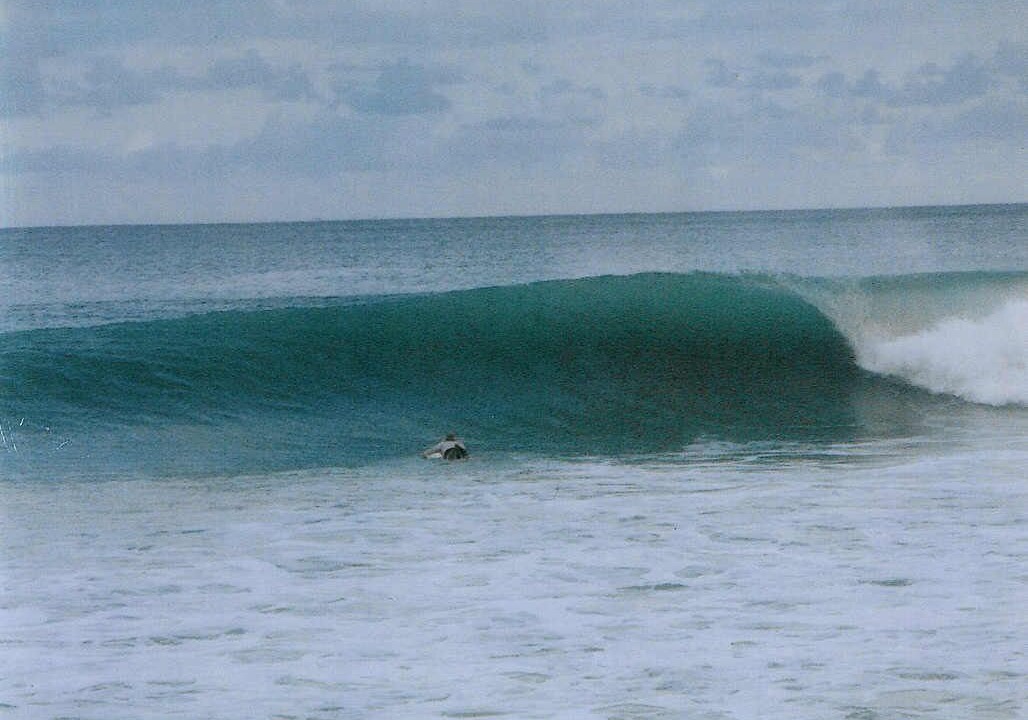 Photo of Others in Puerto Jimenez