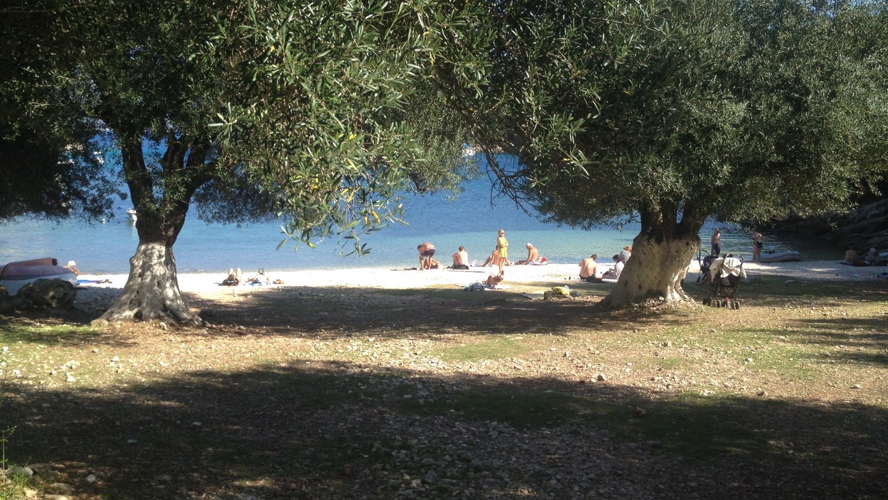 Photo of Others in Chalikeri