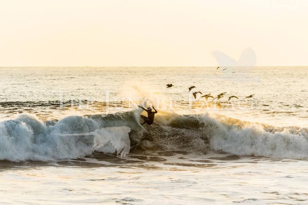 Photo of Others in Playa Hermosa