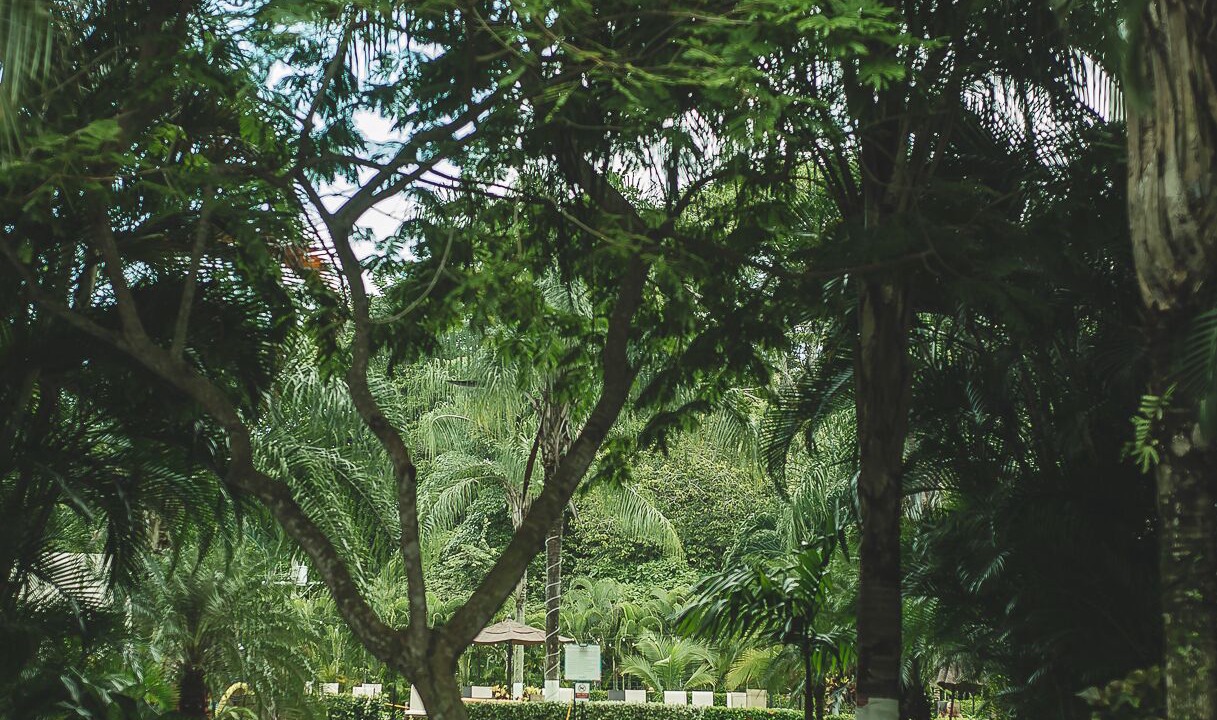 Photo of Outdoor in Barrio Santa Lucia