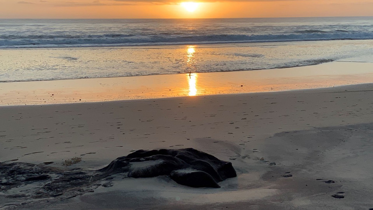 Photo of Others in Rainbow Beach