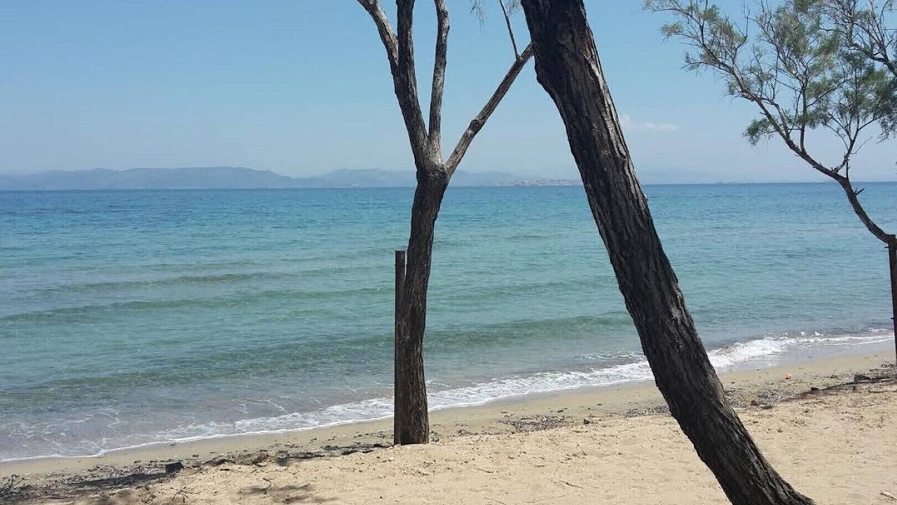 Photo of Others in Aegina