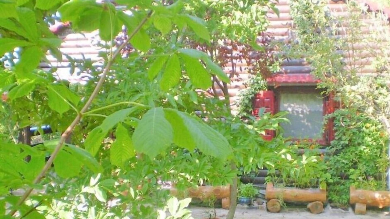 Photo of Outdoor in Dirfys-Messapia