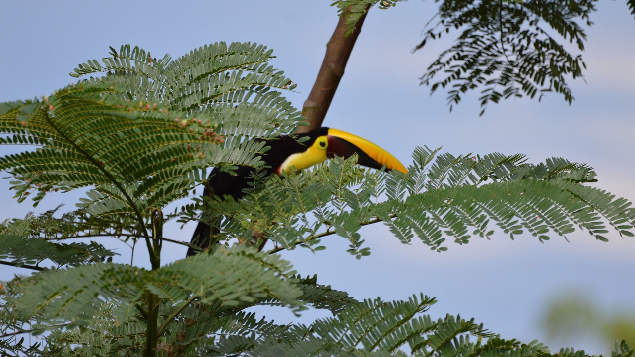 Photo of Outdoor in Ciudad Cortes