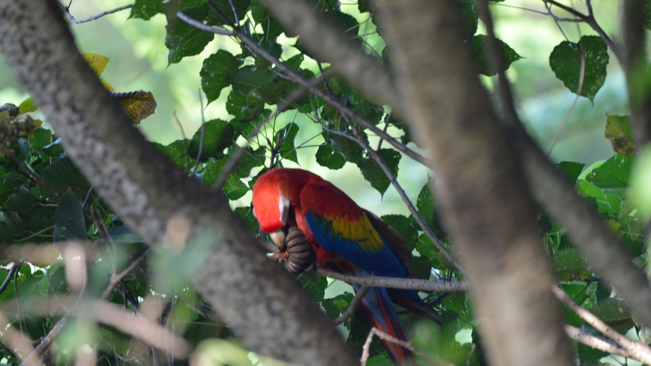 Photo of Outdoor in Ciudad Cortes
