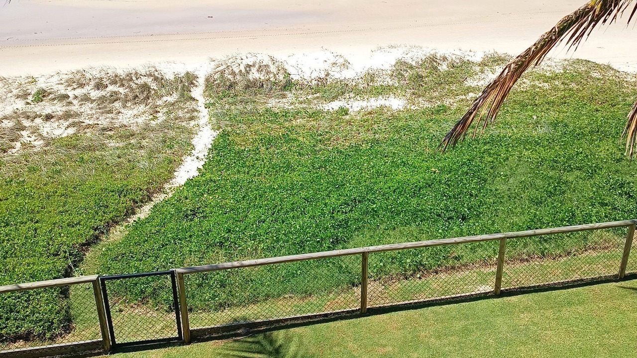 Photo of Others in Palm Beach