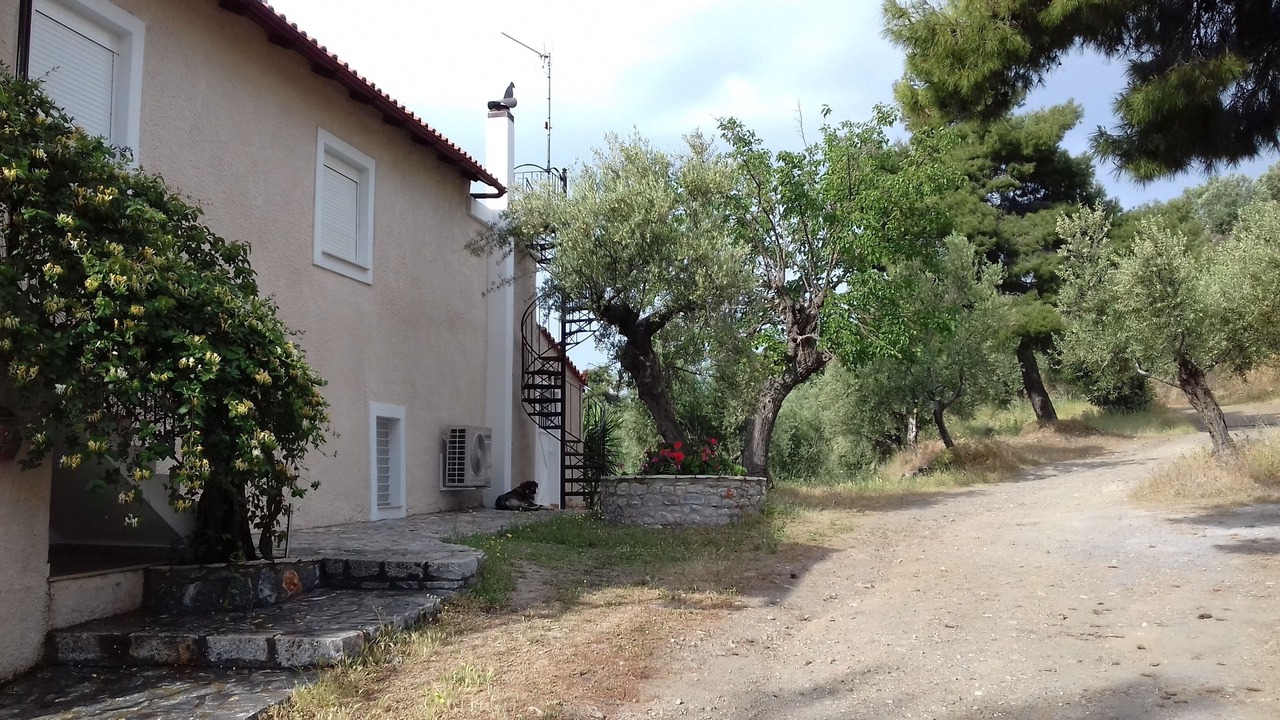 Photo of Outdoor in Gythio