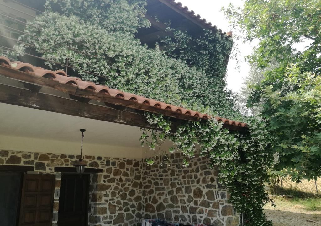 Photo of Outdoor in Dirfys-Messapia