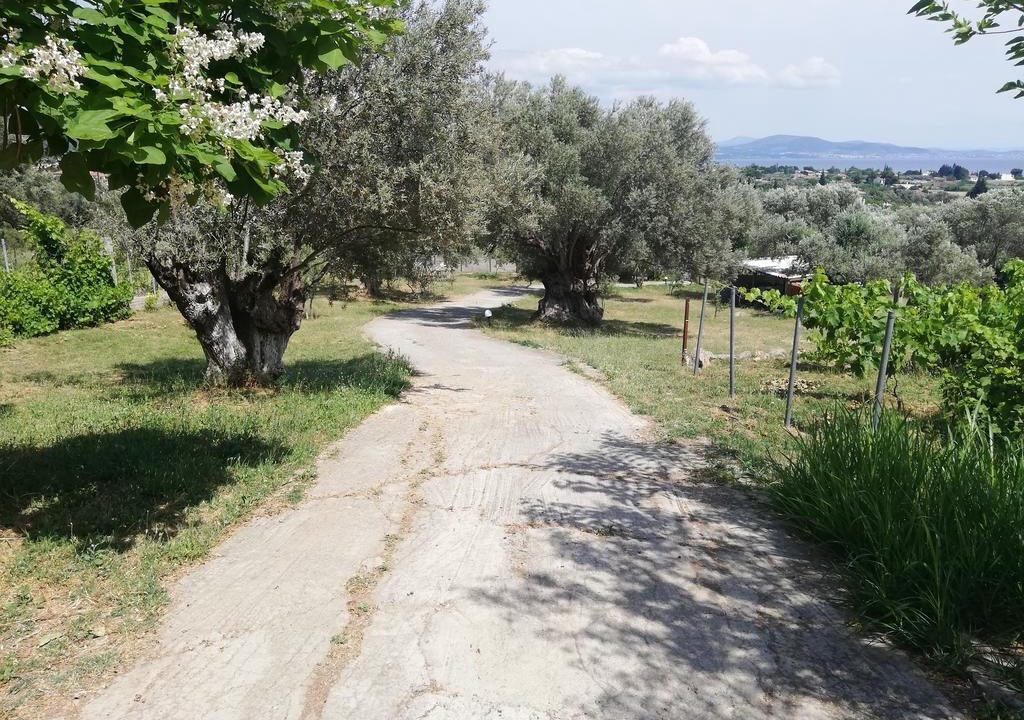Photo of Outdoor in Dirfys-Messapia