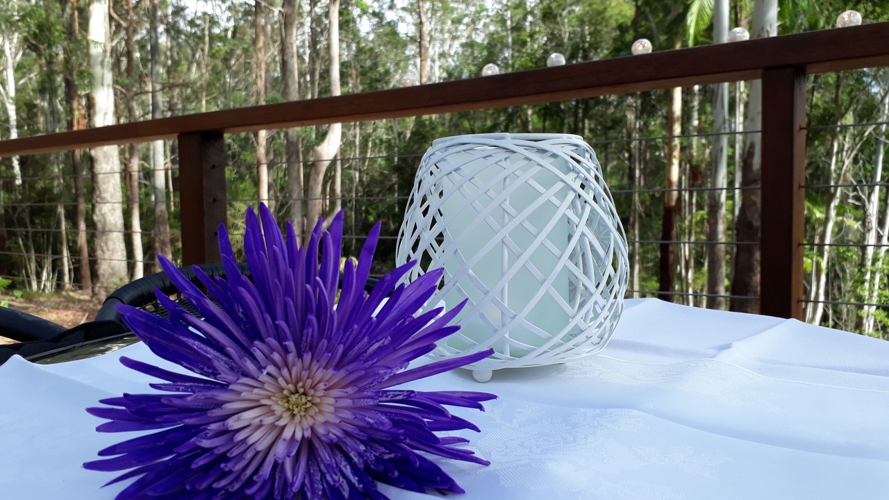 Photo of Outdoor in North Maleny