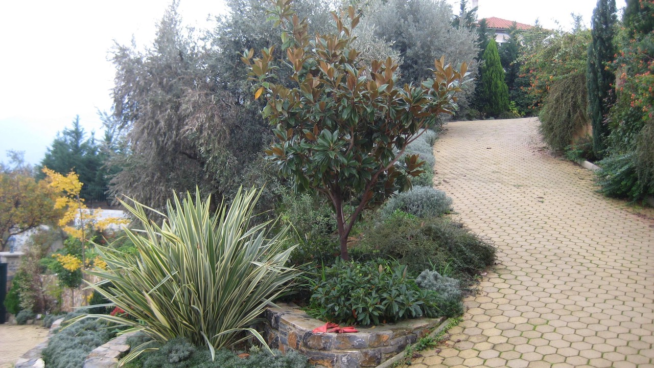 Photo of Outdoor in Sourpi