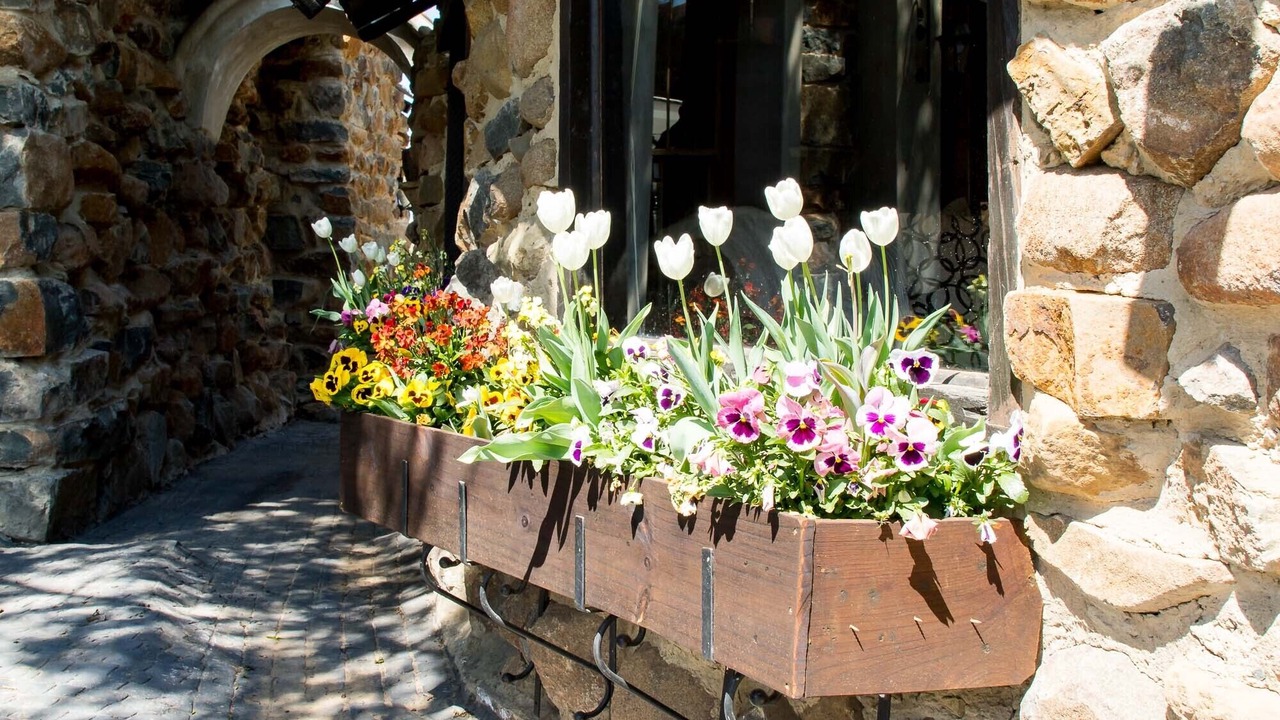 Photo of Outdoor in Greater Kokstad