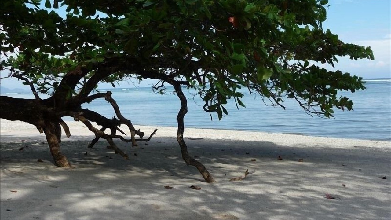 Photo of Others in Cabuya