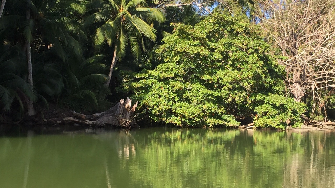 Photo of Outdoor in Cabuya