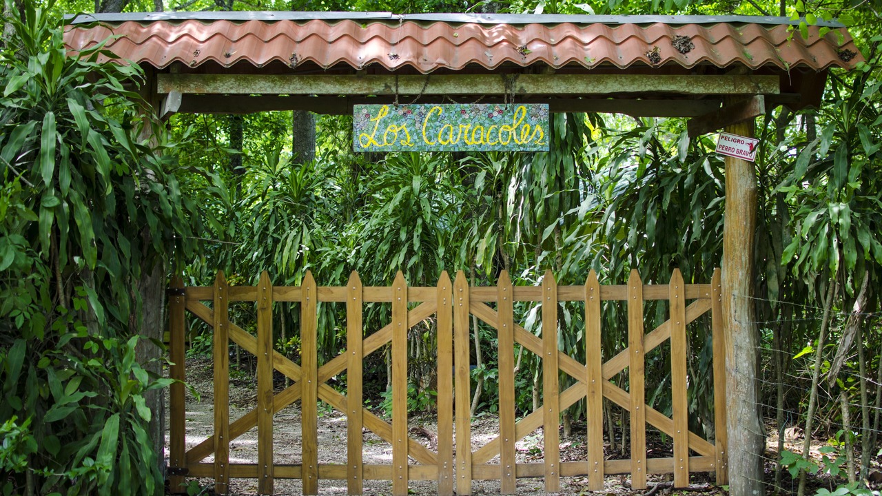 Photo of Outdoor in Cabuya