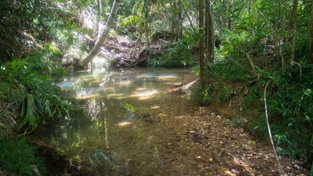 Photo of Outdoor in Cow Bay