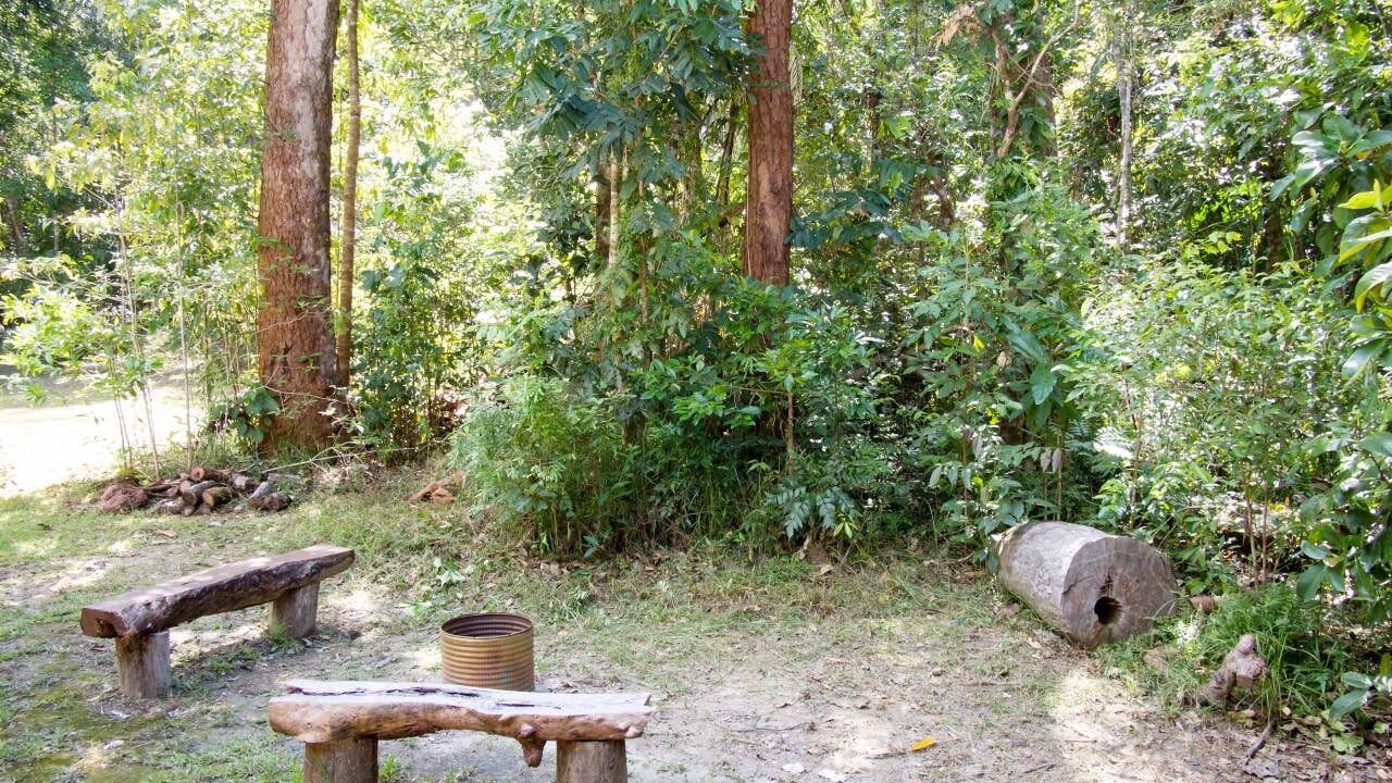 Photo of Outdoor in Cow Bay