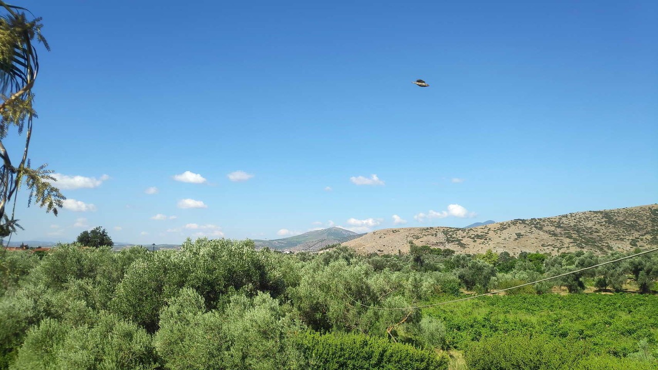 Photo of Outdoor in Chalcis