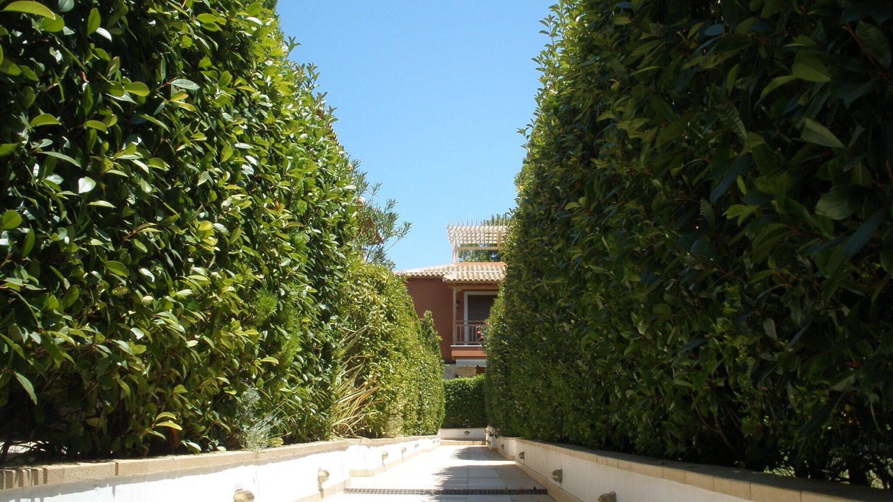 Photo of Outdoor in Kifisia