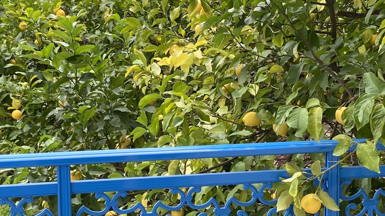 Photo of Outdoor in Kamena Vourla