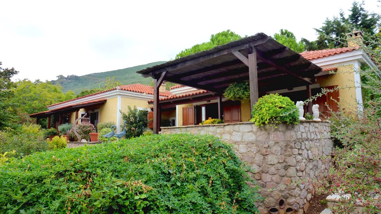Photo of Outdoor in Stylida