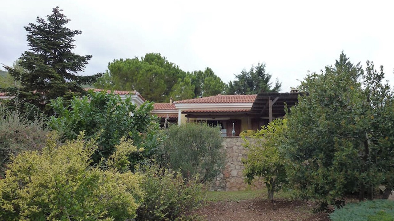 Photo of Outdoor in Stylida