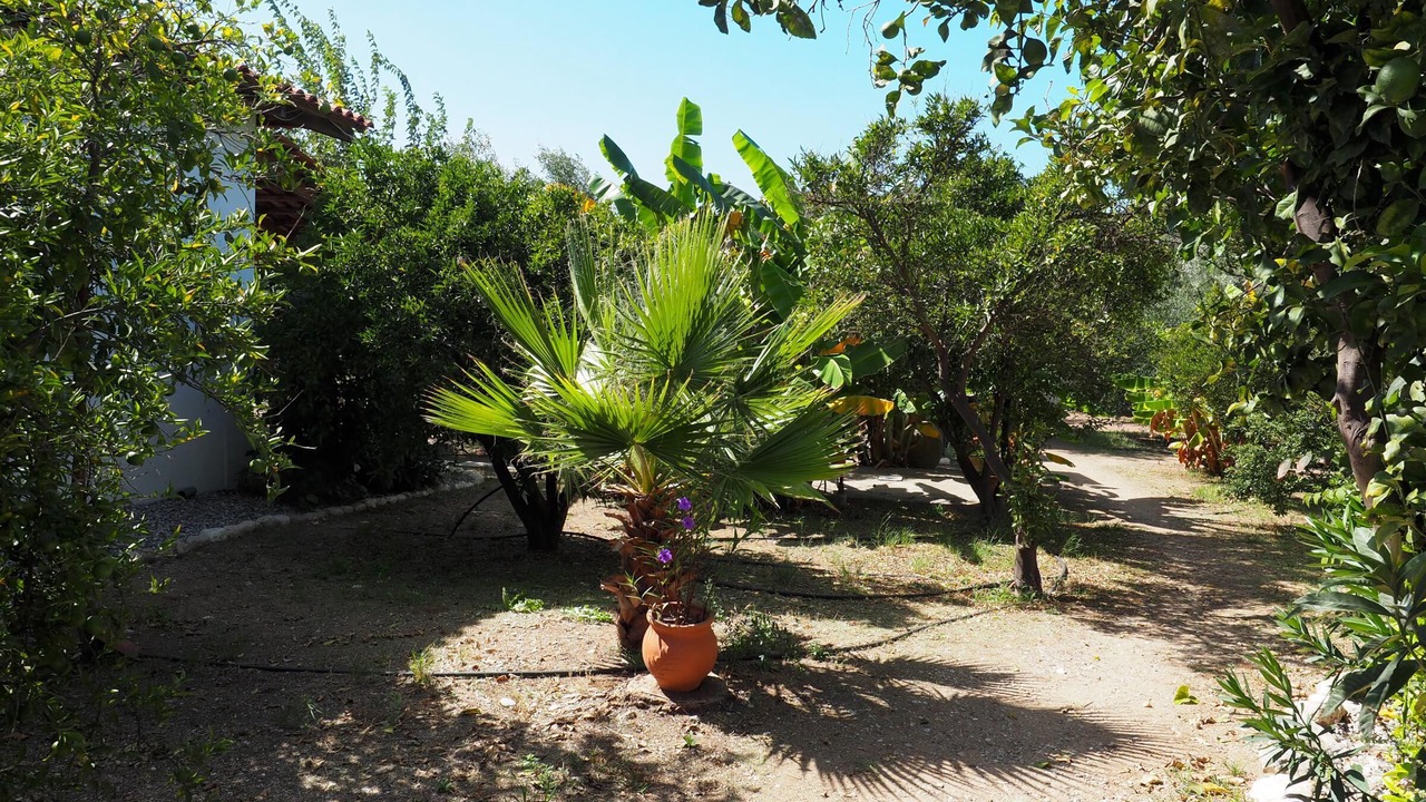 Photo of Outdoor in Kakovatos