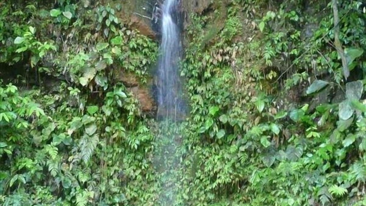 Photo of Others in Ballena
