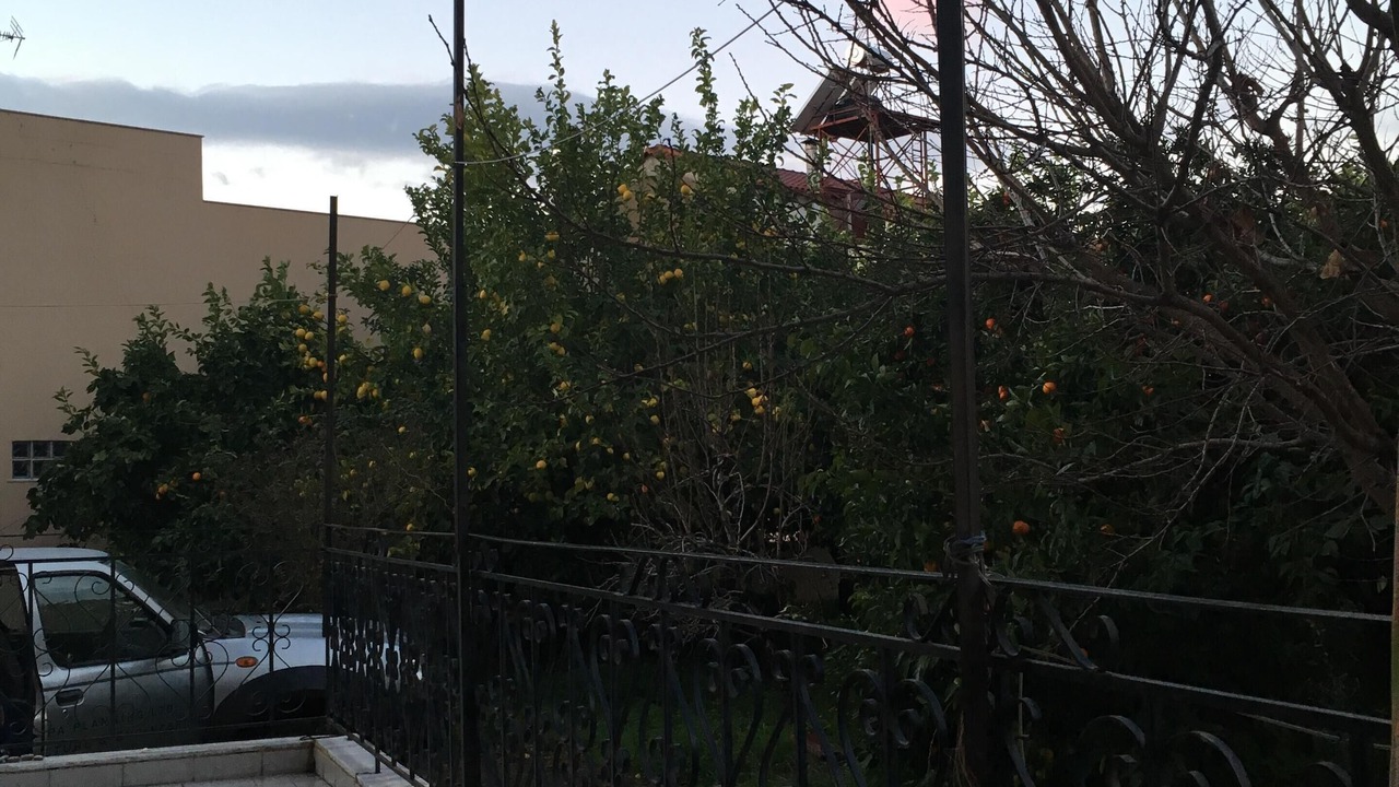 Photo of Outdoor in Aigio