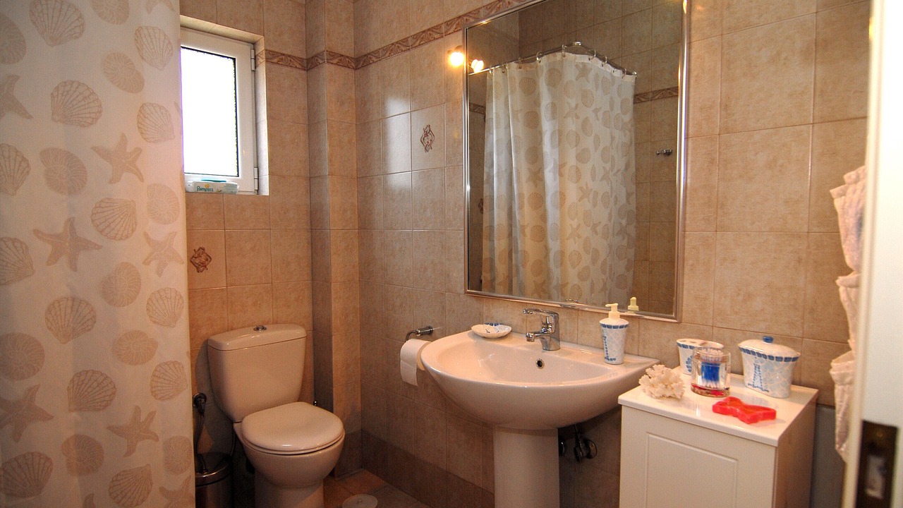 Photo of Bathroom in Theologos