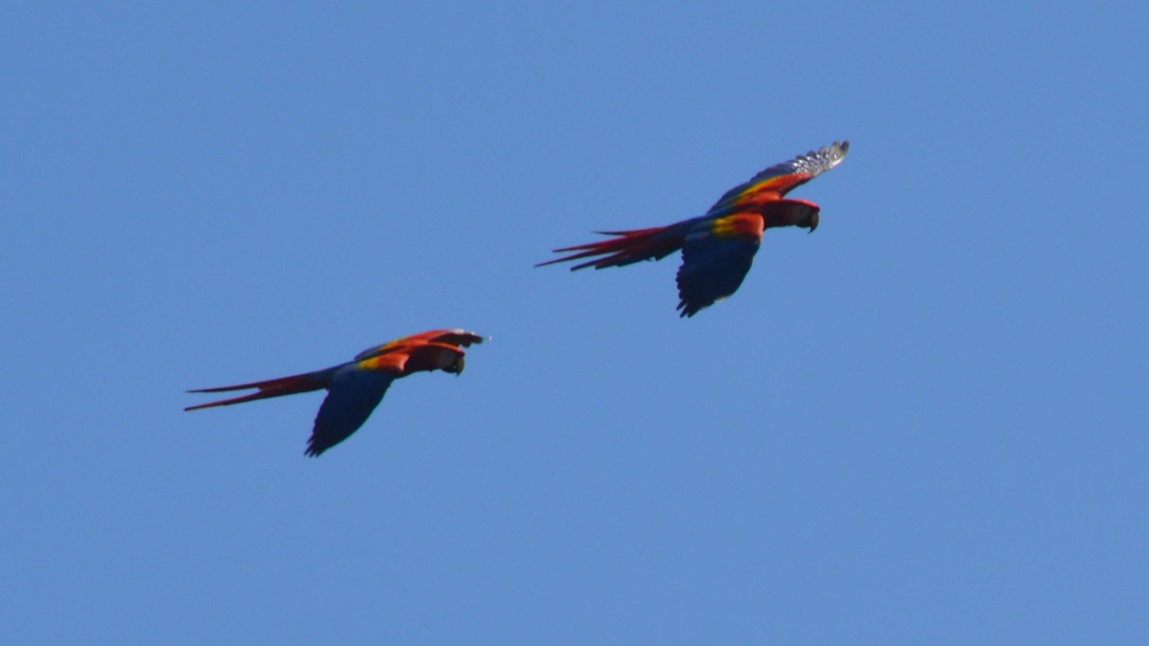 Photo of Others in Ciudad Cortes