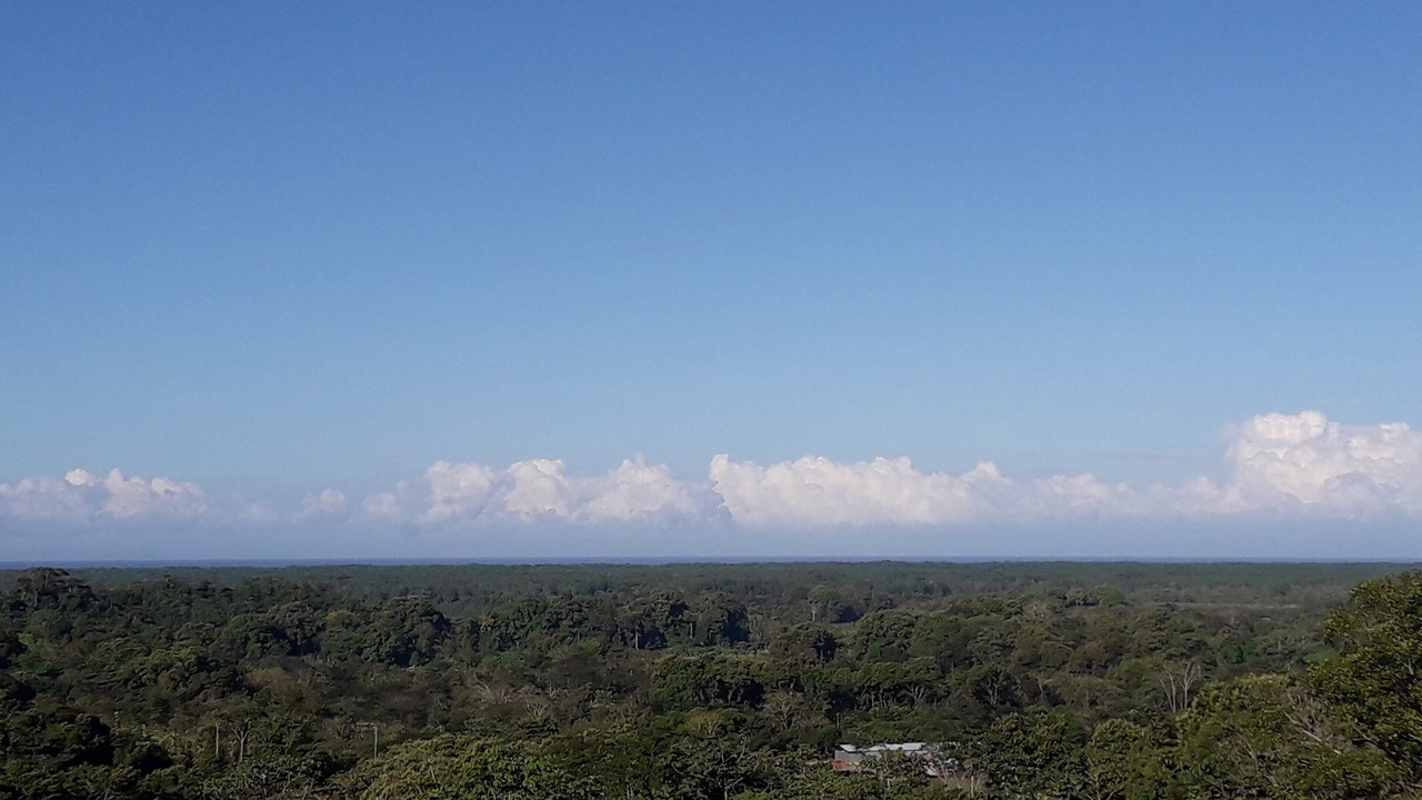Photo of Outdoor in Ciudad Cortes