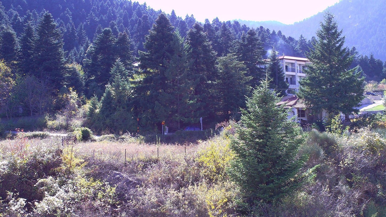 Photo of Others in Eptalofos