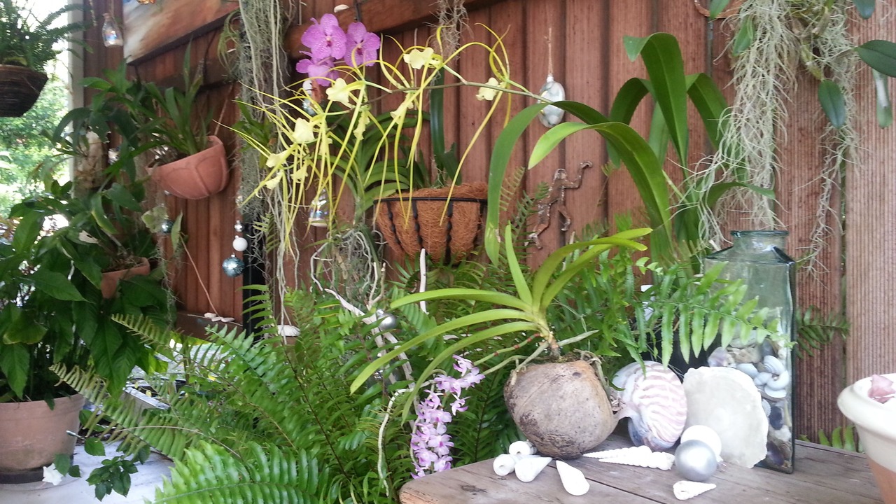 Photo of Outdoor in Clifton Beach