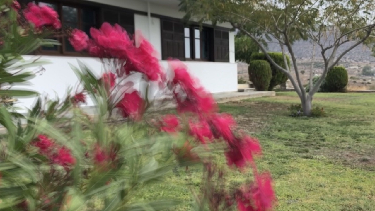 Photo of Outdoor in Karystos